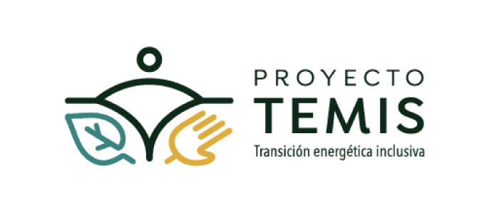 EAPN Madrid 10 Proyecto Temis