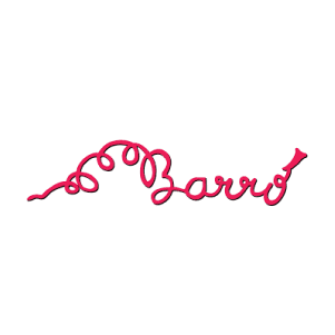 Cómo nos organizamos 7 Logo ABarro